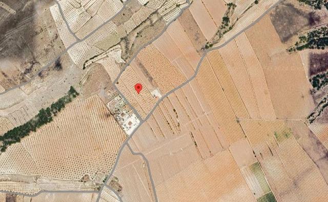 Land for sale in Yecla