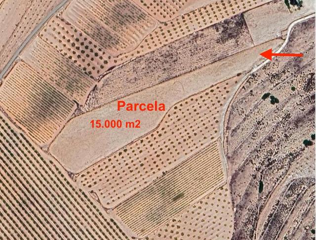 Land for sale in Pinoso