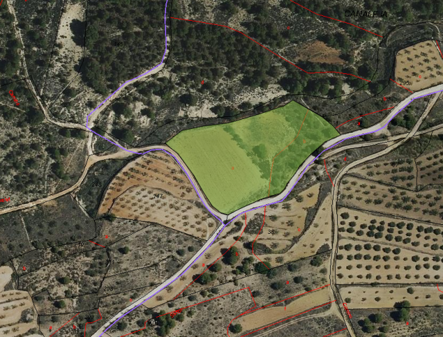 Land for sale in Monovar