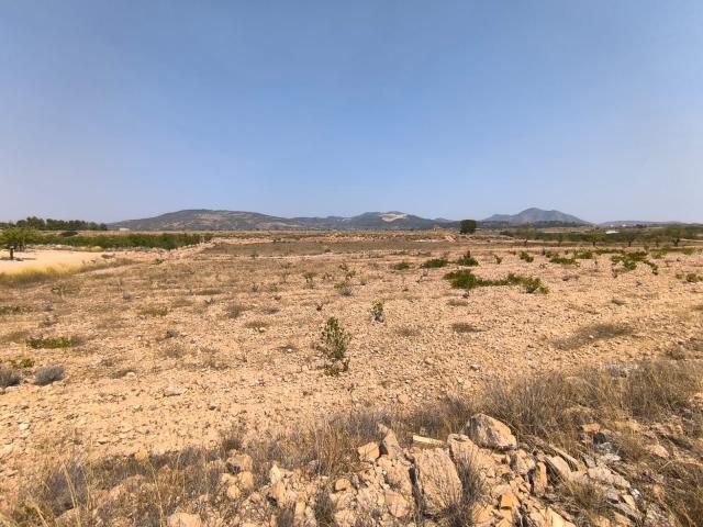 Land for sale in Pinoso