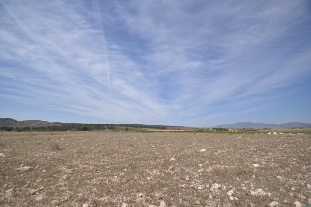 Land for sale in Pinoso