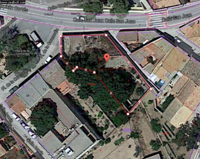 Land for sale in Algueña