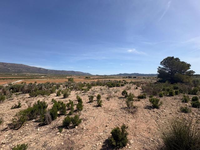 Land for sale in Pinoso