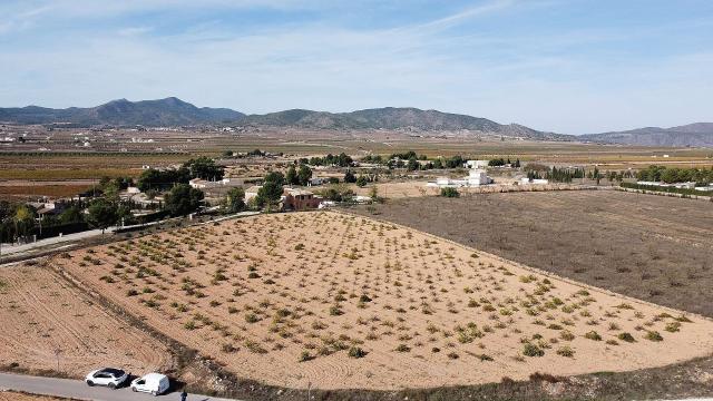 Land for sale in Pinoso
