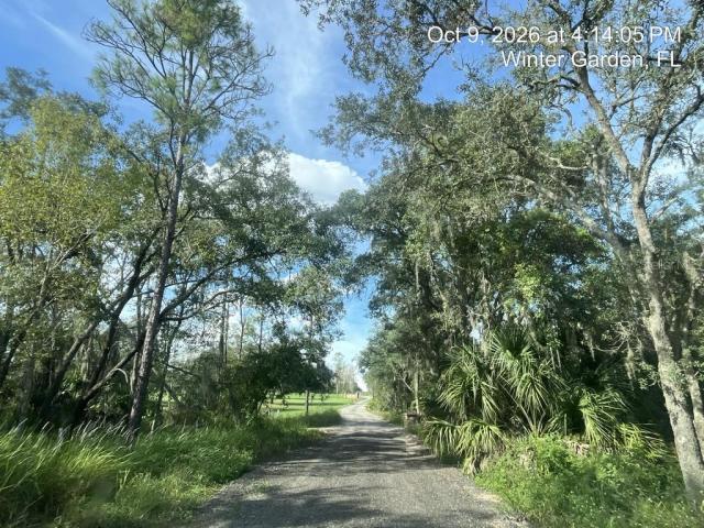 9901 AVALON WOODS DRIVE,Winter Garden,Lake,Residential
