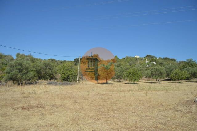 Land for sale in Santa Catarina da Fonte do Bispo