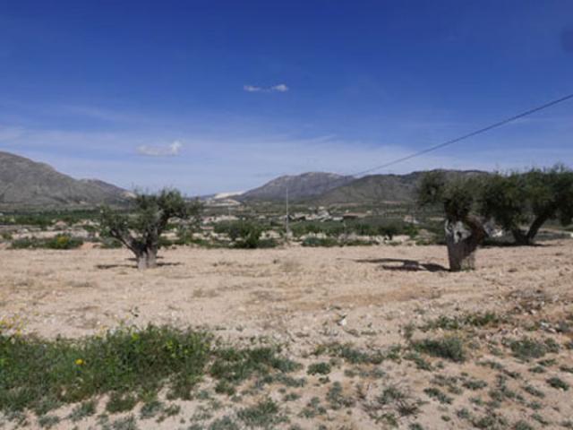 Land for sale in Barbarroja