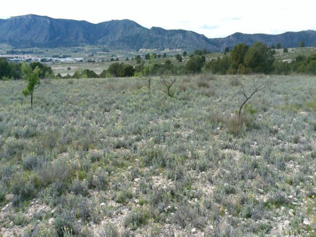 Land for sale in Sax