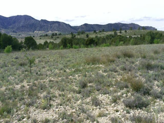 Land for sale in Sax