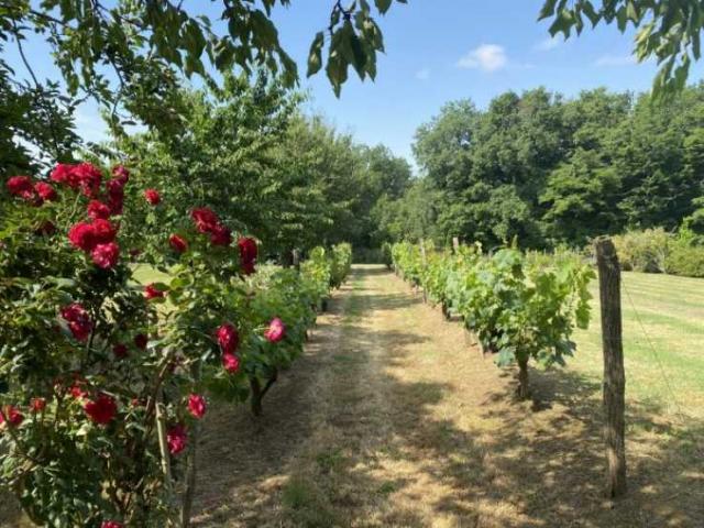 3 bedroom Country House in Condom