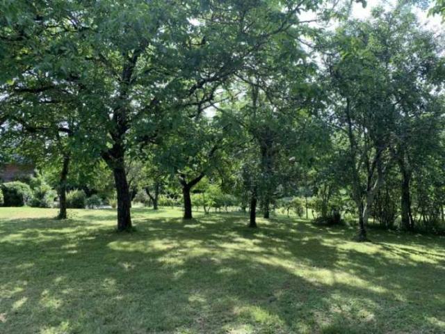 7 bedroom Country House in Condom