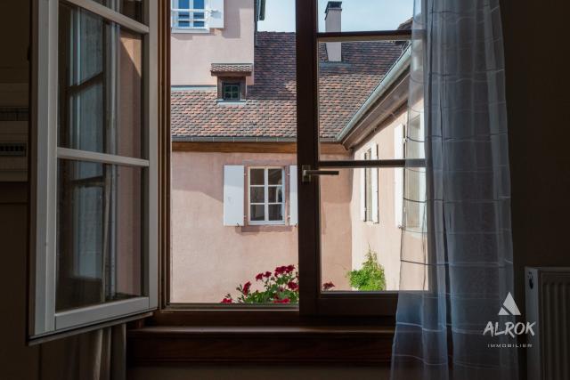 16 bedroom Farmhouse in Colmar