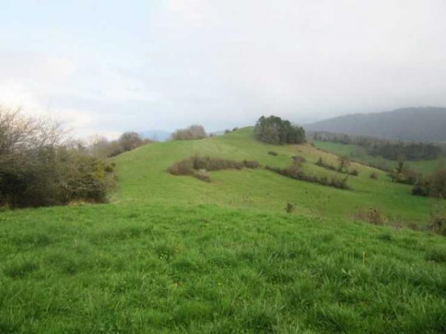 12 bedroom Farmhouse in Foix