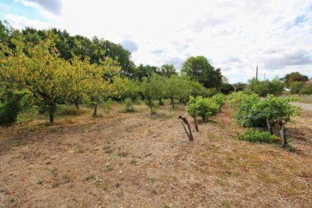 14 bedroom Country House in Albi