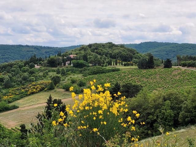 6 bedroom Country House in Carcassonne