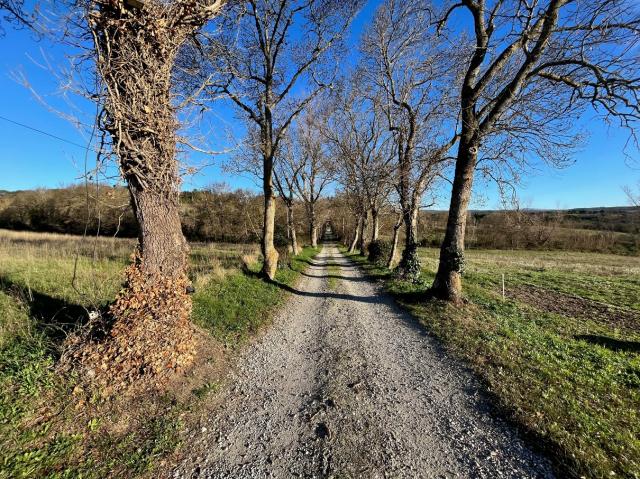 8 bedroom Country House in Carcassonne