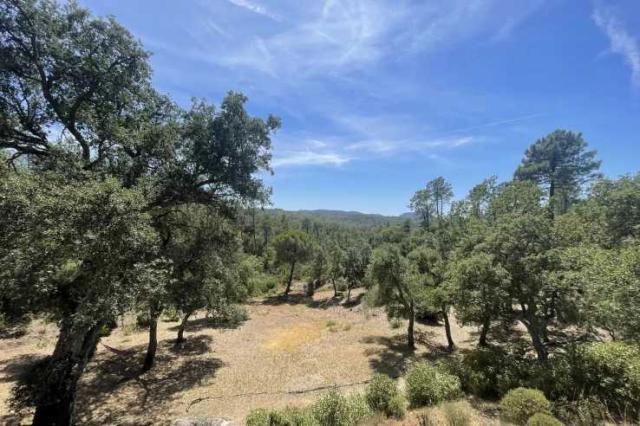 5 bedroom Country House in Saint-Paul-en-Forêt