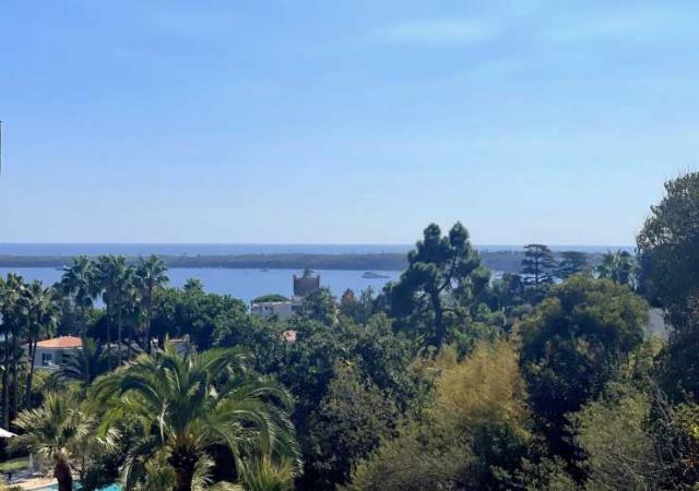 1 bedroom Apartment in Cannes