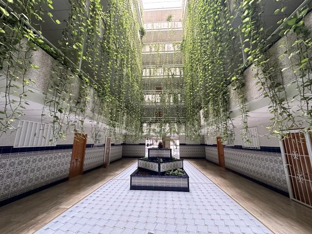 2 bedroom Apartment in Torrevieja