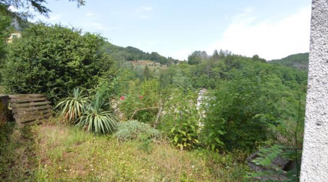 3 bedroom Detached House in Molazzana