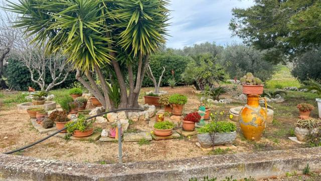 3 bedroom Detached House in Carovigno