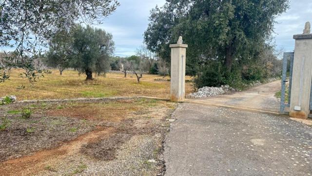 3 bedroom Detached House in Carovigno