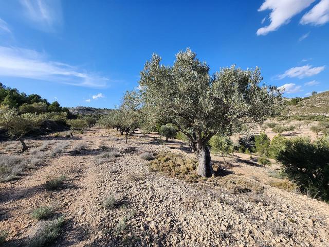 1 bedroom Country house in Villena
