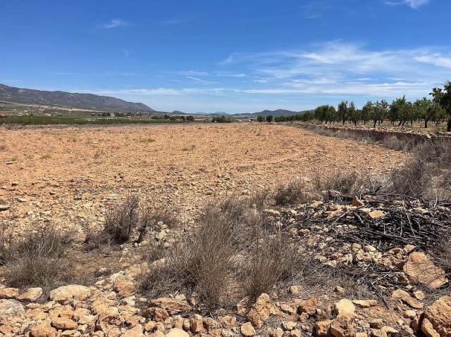 Land for sale in Pinoso