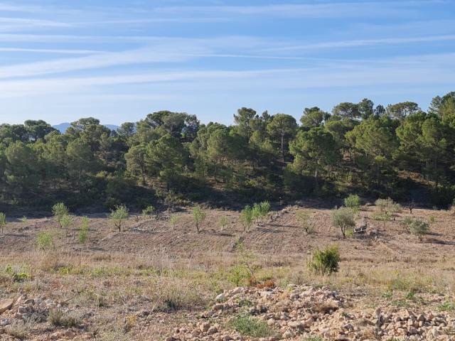 Land for sale in Raspay