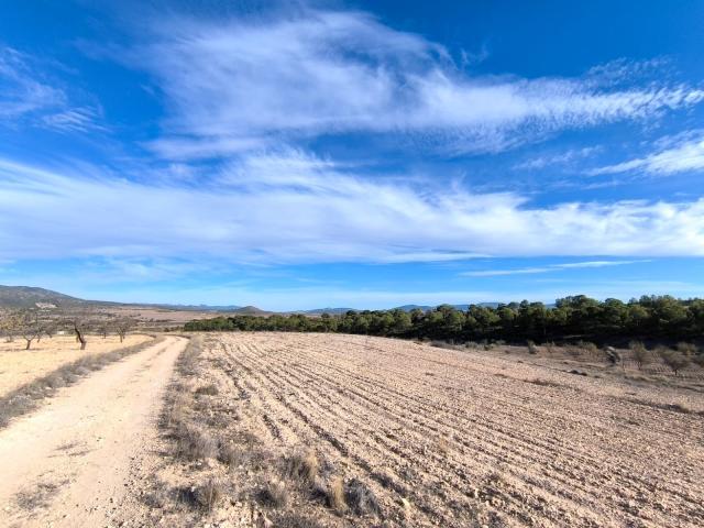 Land for sale in Raspay