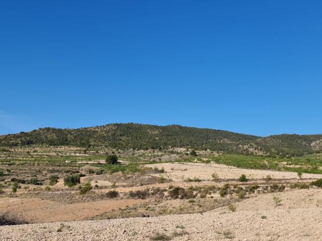 Land for sale in Raspay