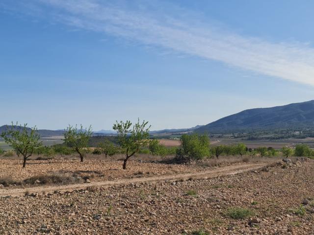 Land for sale in Raspay