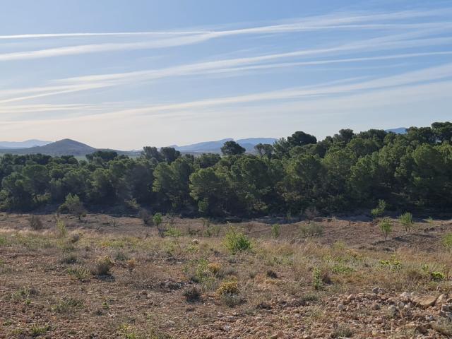 Land for sale in Raspay
