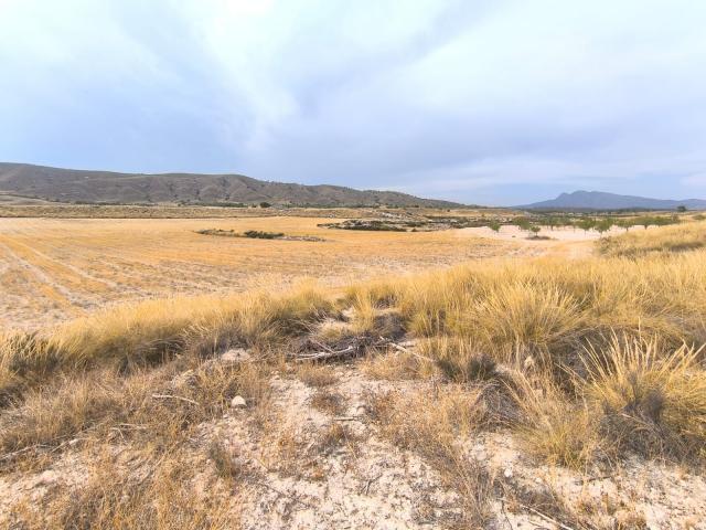 6 bedroom Country House in Jumilla