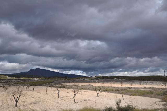 6 bedroom Country House in Jumilla