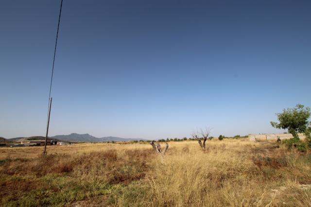 6 bedroom Country House in Torre Del Rico