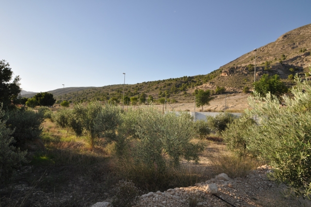 6 bedroom Villa in Fortuna