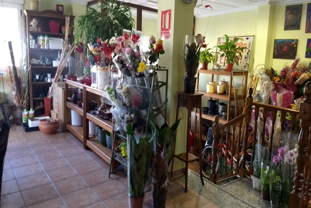 3 bedroom Town House in Pinoso