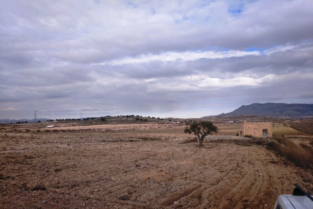 Land for sale in Torre Del Rico