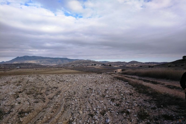 Land for sale in Torre Del Rico
