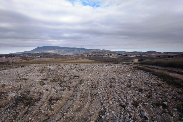 Land for sale in Torre Del Rico