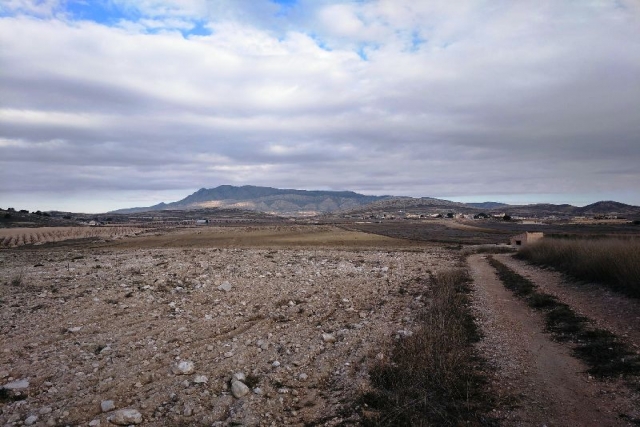 Land for sale in Torre Del Rico