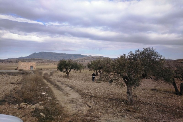 Land for sale in Torre Del Rico