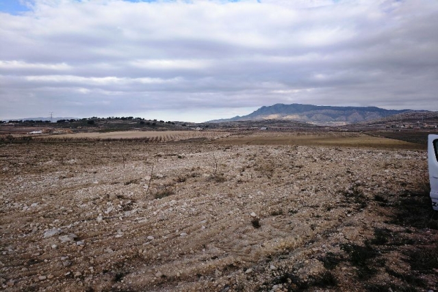 Land for sale in Torre Del Rico