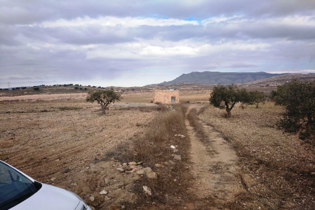 Land for sale in Torre Del Rico