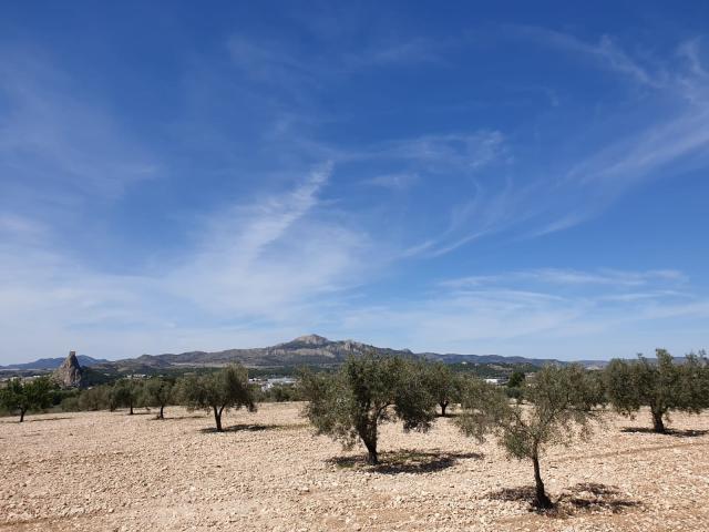 Land for sale in Sax