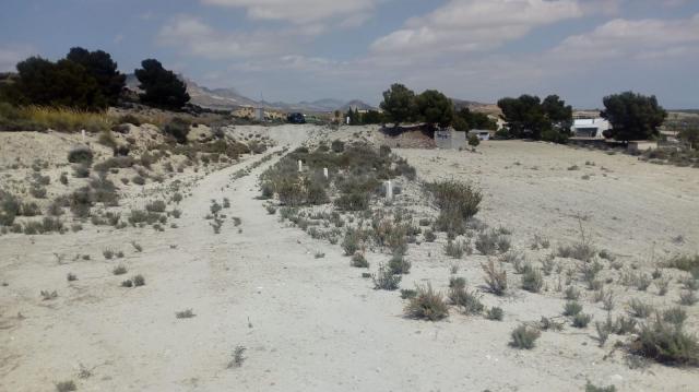 Land for sale in Fortuna