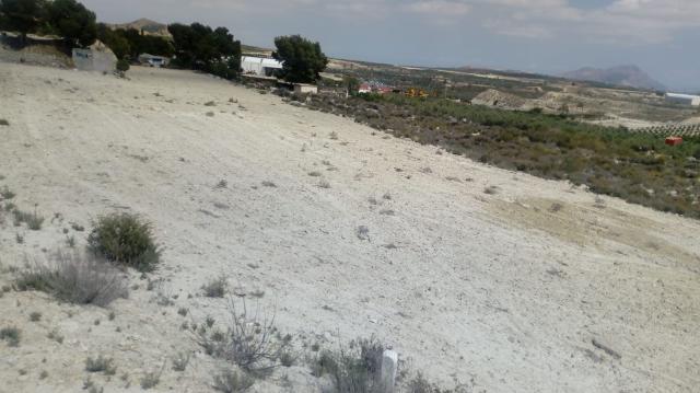 Land for sale in Fortuna