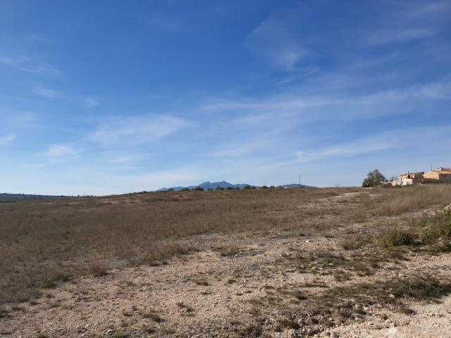 Land for sale in Pinoso