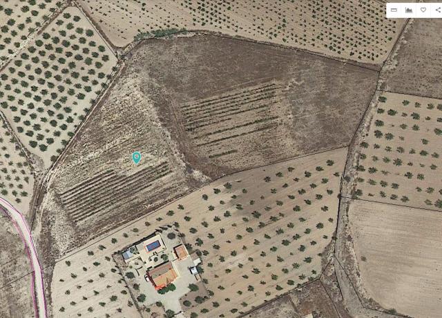 Land for sale in Pinoso